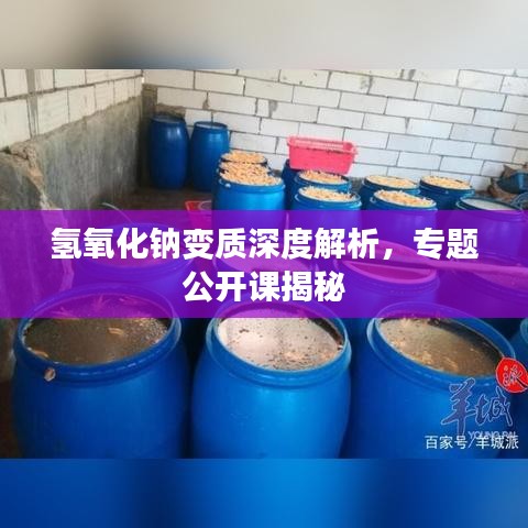 氢氧化钠变质深度解析，专题公开课揭秘
