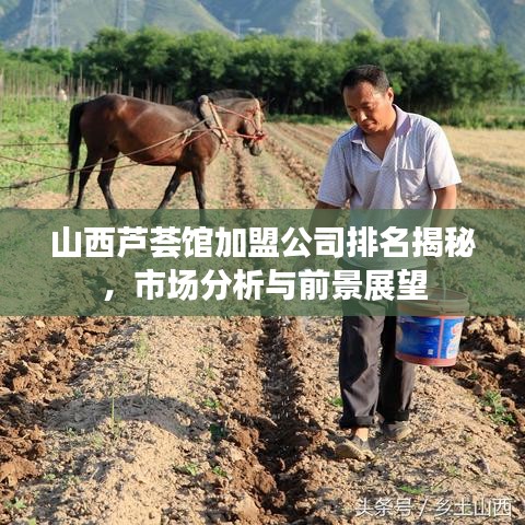 山西芦荟馆加盟公司排名揭秘，市场分析与前景展望