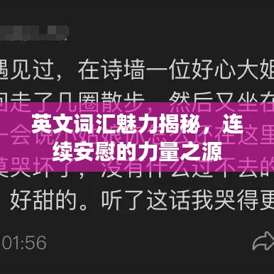 英文词汇魅力揭秘，连续安慰的力量之源