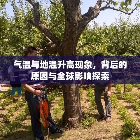 气温与地温升高现象，背后的原因与全球影响探索