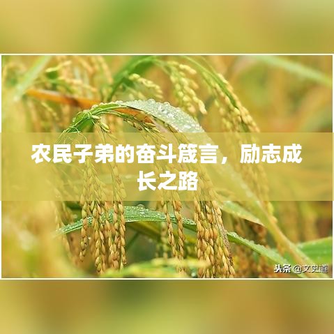 难能可贵 第6页