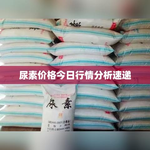 朱唇粉面 第7页