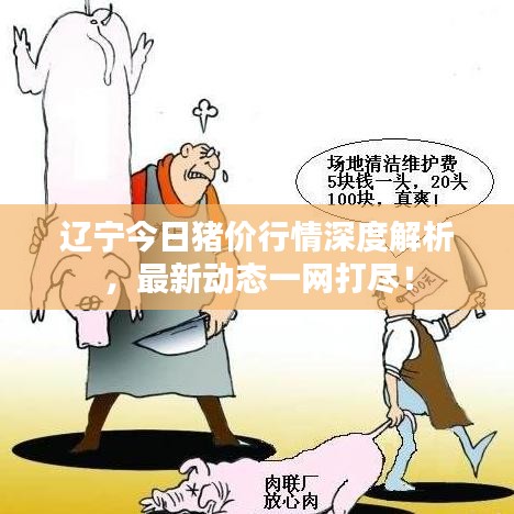 辽宁今日猪价行情深度解析，最新动态一网打尽！