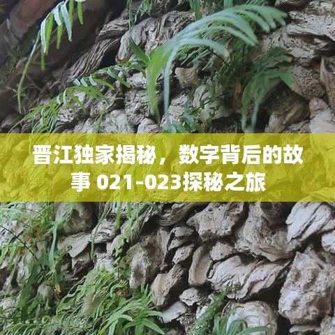 晋江独家揭秘,数字背后的故事 021-023探秘之旅