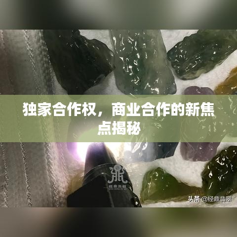 独家合作权，商业合作的新焦点揭秘
