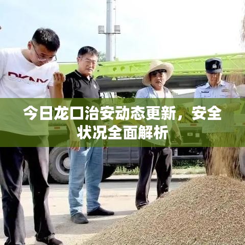 今日龙口治安动态更新,安全状况全面解析