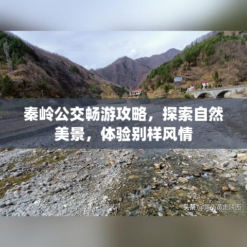 秦岭公交畅游攻略,探索自然美景,体验别样风情