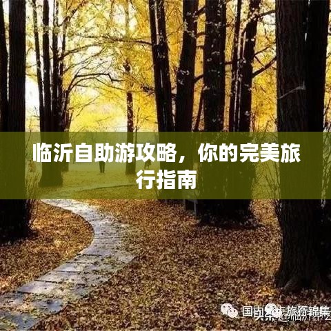 临沂自助游攻略，你的完美旅行指南