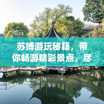 苏博游玩秘籍，带你畅游精彩景点，尽享独特体验！