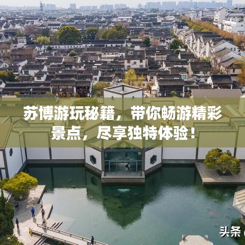 苏博游玩秘籍,带你畅游精彩景点,尽享独特体验!