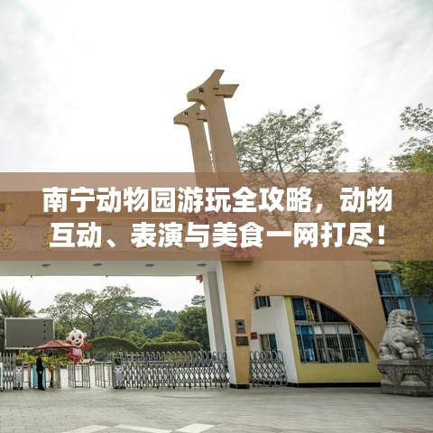 南宁动物园游玩全攻略，动物互动、表演与美食一网打尽！