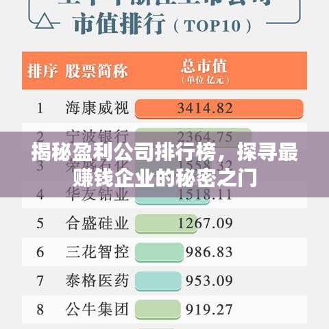 揭秘盈利公司排行榜，探寻最赚钱企业的秘密之门