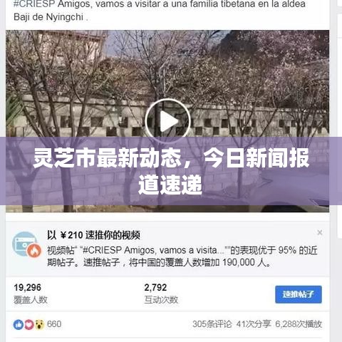 灵芝市最新动态，今日新闻报道速递