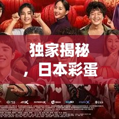 独家揭秘，日本彩蛋背后的神秘面纱