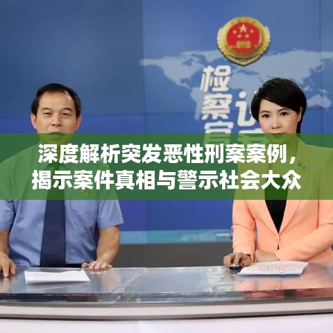 深度解析突发恶性刑案案例，揭示案件真相与警示社会大众