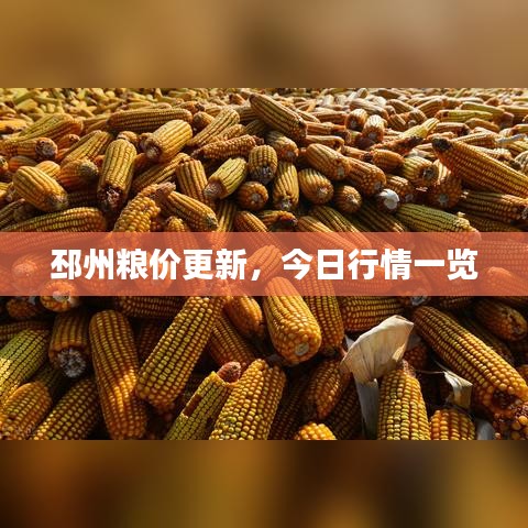 邳州粮价更新，今日行情一览