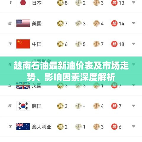 越南石油最新油价表及市场走势、影响因素深度解析