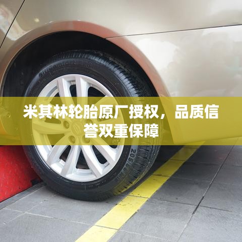 米其林轮胎原厂授权，品质信誉双重保障