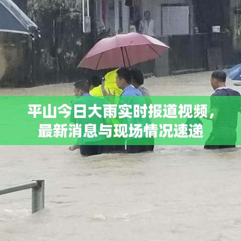 平山今日大雨实时报道视频，最新消息与现场情况速递