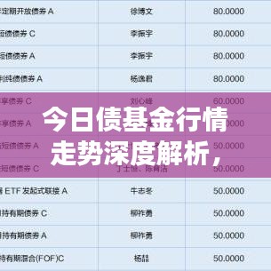 今日债基金行情走势深度解析，最新动态一网打尽