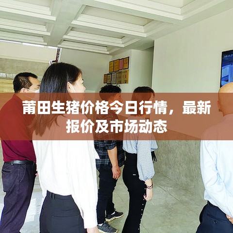 莆田生猪价格今日行情，最新报价及市场动态