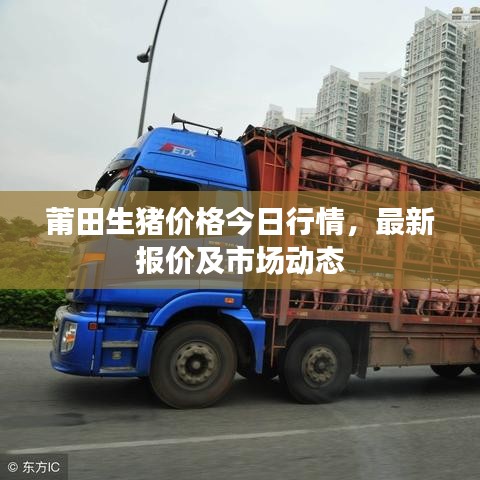 莆田生猪价格今日行情,最新报价及市场动态