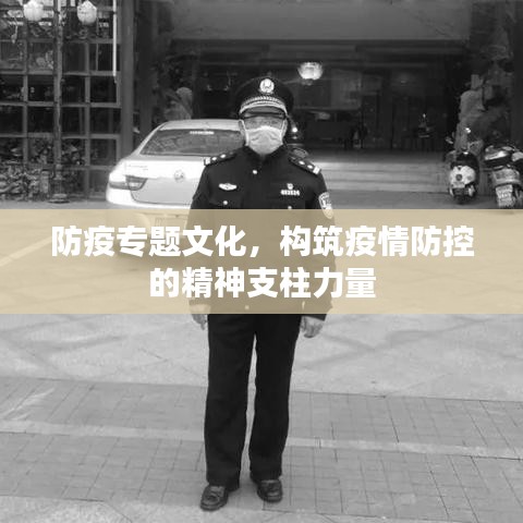 防疫专题文化，构筑疫情防控的精神支柱力量