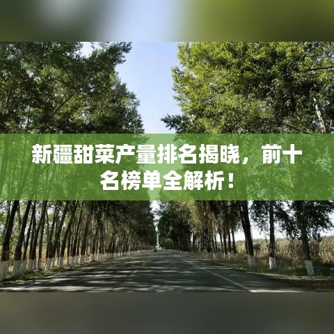 新疆甜菜产量排名揭晓，前十名榜单全解析！