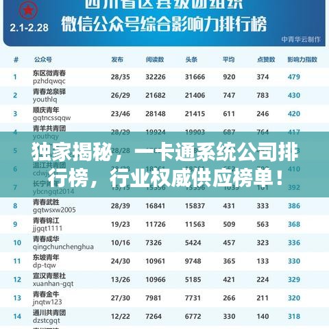 独家揭秘，一卡通系统公司排行榜，行业权威供应榜单！