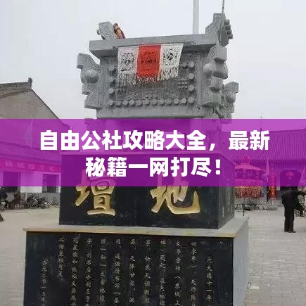 自由公社攻略大全，最新秘籍一网打尽！