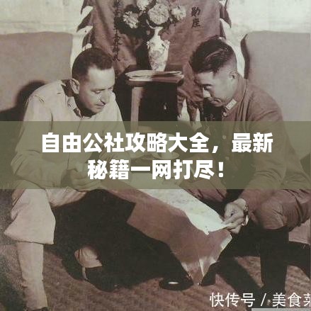 自由公社攻略大全,最新秘籍一网打尽!