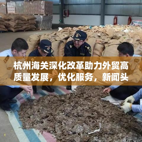 杭州海关深化改革助力外贸高质量发展，优化服务，新闻头条抢先看