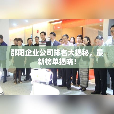 邵阳企业公司排名大揭秘，最新榜单揭晓！