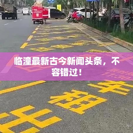 临潼最新古今新闻头条,不容错过!