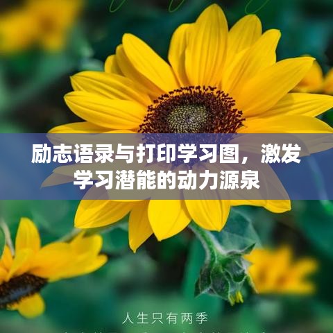 励志语录与打印学习图，激发学习潜能的动力源泉