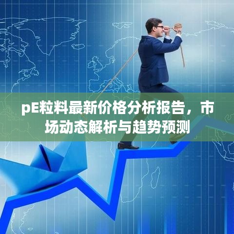 pE粒料最新价格分析报告，市场动态解析与趋势预测