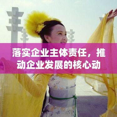 落实企业主体责任，推动企业发展的核心动力源泉