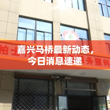 嘉兴马桥最新动态，今日消息速递