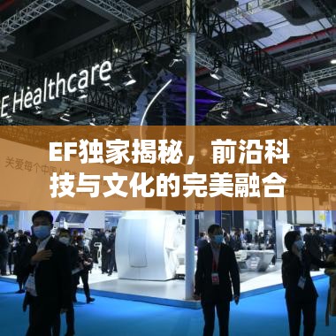 贵而贱目 第6页