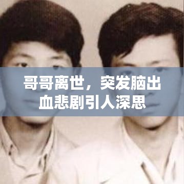 炊粱跨卫 第6页