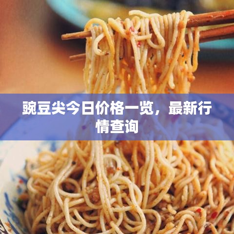 豌豆尖今日价格一览，最新行情查询