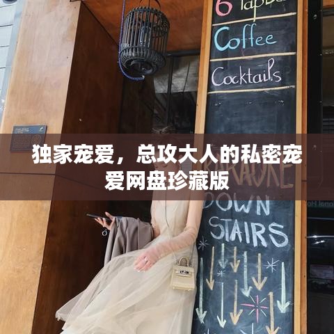 独家宠爱，总攻大人的私密宠爱网盘珍藏版