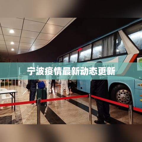 宁波疫情最新动态更新