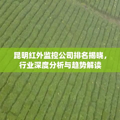 昆明红外监控公司排名揭晓，行业深度分析与趋势解读