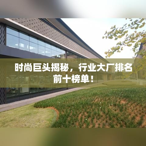 时尚巨头揭秘，行业大厂排名前十榜单！