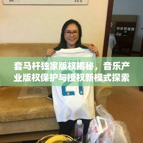 套马杆独家版权揭秘，音乐产业版权保护与授权新模式探索