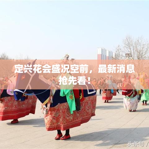 定兴花会盛况空前，最新消息抢先看！