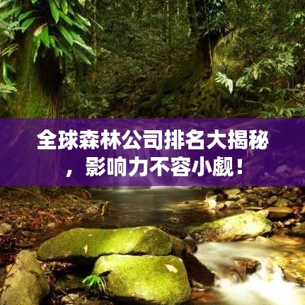 全球森林公司排名大揭秘，影响力不容小觑！