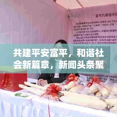 共建平安富平，和谐社会新篇章，新闻头条聚焦富平发展
