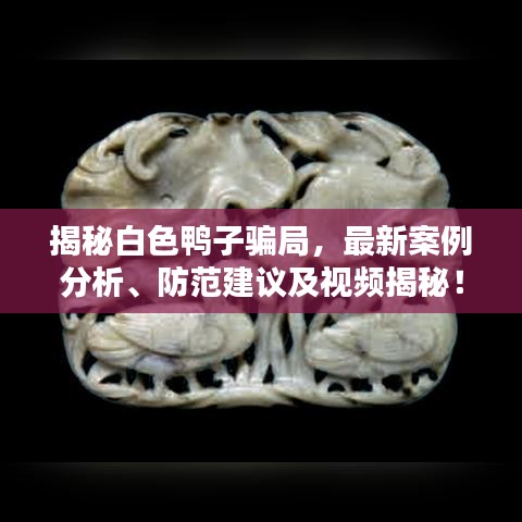 揭秘白色鸭子骗局，最新案例分析、防范建议及视频揭秘！